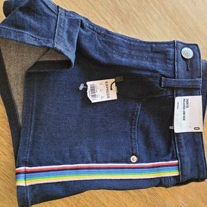 NWT Express shorts with rainbow like stripes